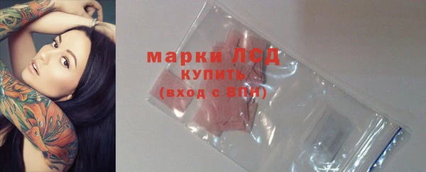 крисы Заводоуковск