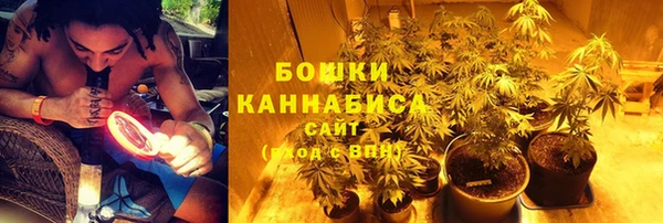 крисы Заводоуковск