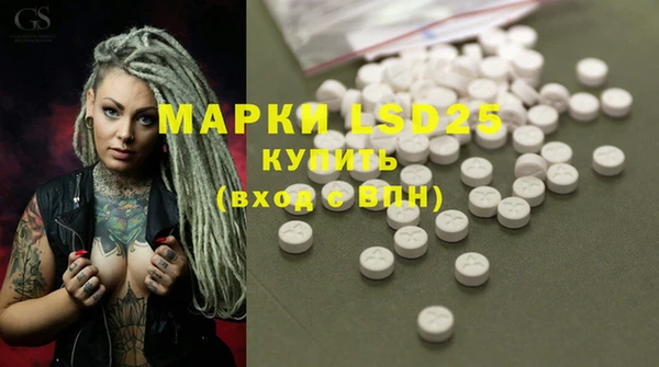 крисы Заводоуковск