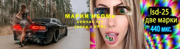 крисы Заводоуковск